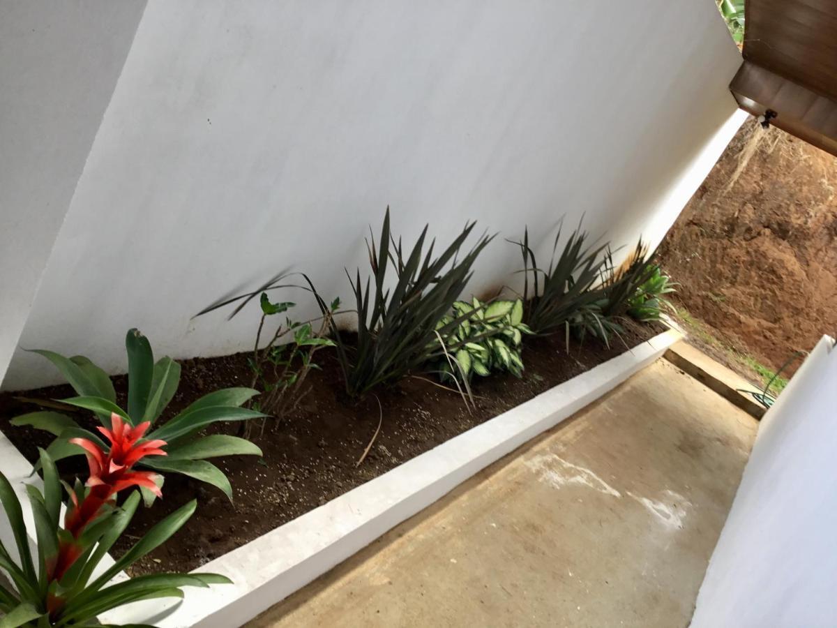 Отель Brand New House Alajuela Near The Airpor Экстерьер фото